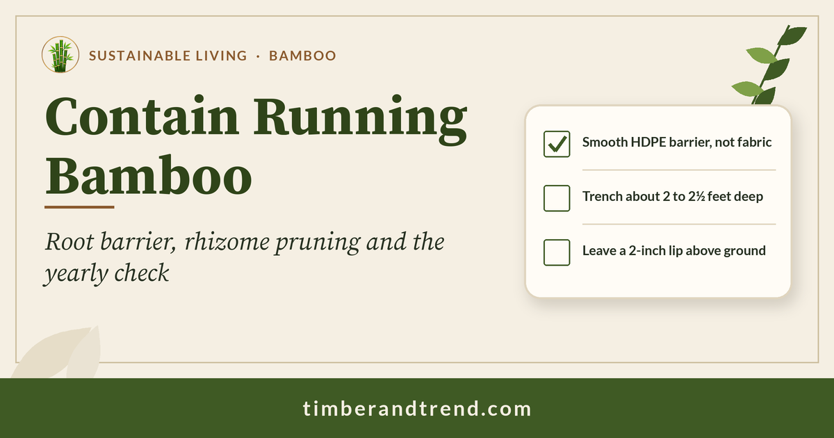 Contain Running Bamboo: Timber & Trend header with a three-item bamboo checklist
